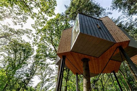 Quaint treetop cabins take Nordic minimalism up into the canopy